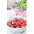 美食菜系做法822