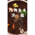 美食菜系做法856