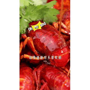美食菜系做法919