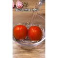 美食菜系做法1099