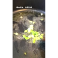 美食菜系做法1221