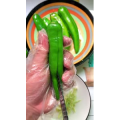美食菜系做法1517