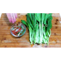 美食菜系做法1632