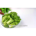 美食菜系做法1730