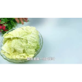 美食菜系做法1737