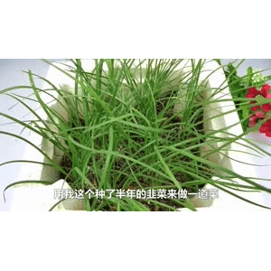 美食菜系做法1770