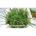 美食菜系做法1770