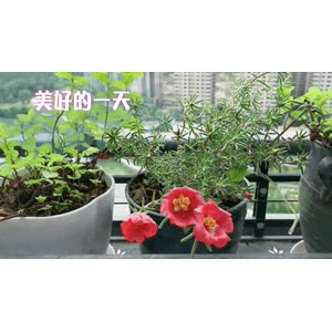 美食菜系做法1842