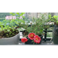 美食菜系做法1842