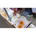 美食菜系做法1853