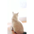 美食菜系做法2133