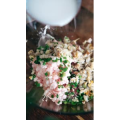 美食菜系做法2263