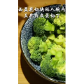 美食菜系做法2470
