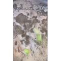 美食菜系做法2485