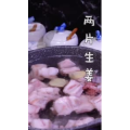 美食菜系做法2543