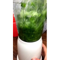 美食菜系做法2600