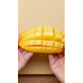 美食菜系做法2795