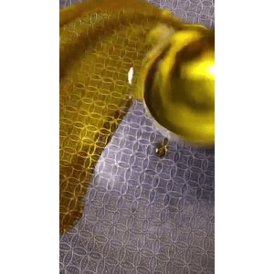 美食菜系做法3075