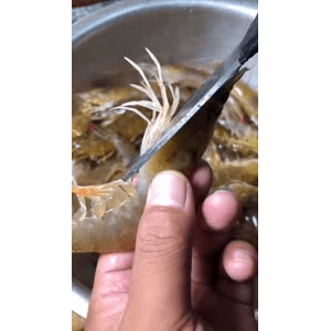 美食菜系做法3083