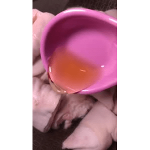 美食菜系做法3089