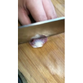美食菜系做法3107