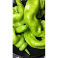 美食菜系做法3135