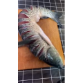 美食菜系做法3144