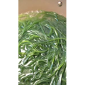 美食菜系做法3169
