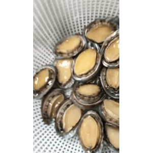 美食菜系做法3202