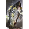 美食菜系做法3227
