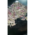 美食菜系做法3270