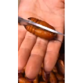 美食菜系做法3288