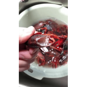美食菜系做法3311