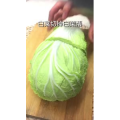 美食菜系做法3569