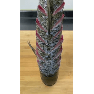 美食菜系做法3586