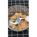 美食菜系做法3783