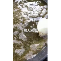 美食菜系做法4338