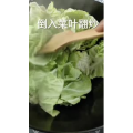 美食菜系做法4343