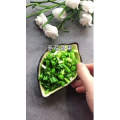 美食菜系做法4474