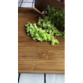美食菜系做法4500