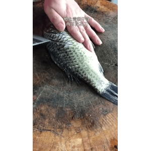 美食菜系做法4510