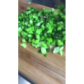 美食菜系做法4535