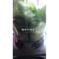 美食菜系做法4544