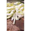 美食菜系做法4751