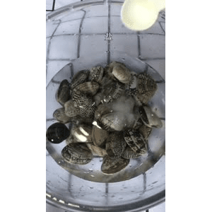 美食菜系做法4765