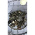 美食菜系做法4765
