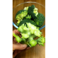 美食菜系做法4973