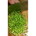 美食菜系做法4984