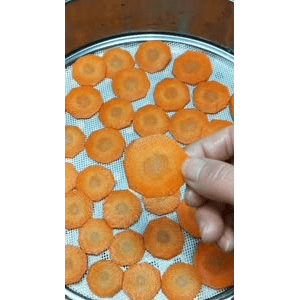 美食菜系做法4995