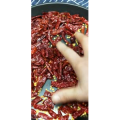 美食菜系做法5002